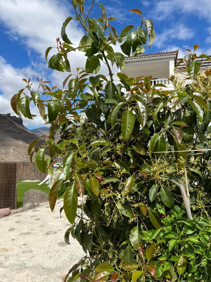 Casa Rural Con Bano Adaptado Y Piscina En Mogán Zewnętrze zdjęcie